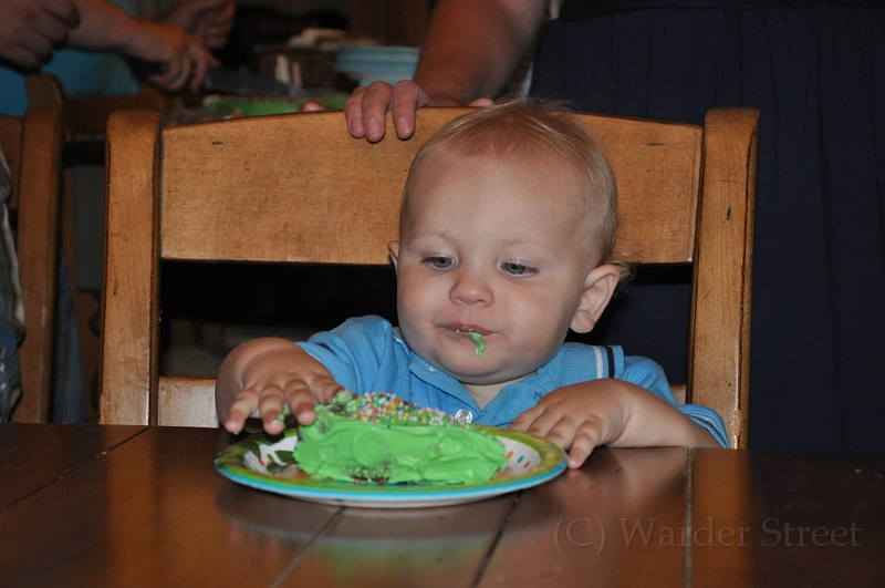 William's 2nd 1st Birthday Party 309.jpg